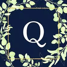 q dp for whatsapp